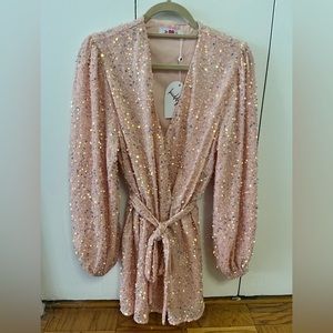NWT Buddy Love Pink Adeline Sequin Dress (Sz Medium)!